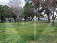 parco-pignera.jpg