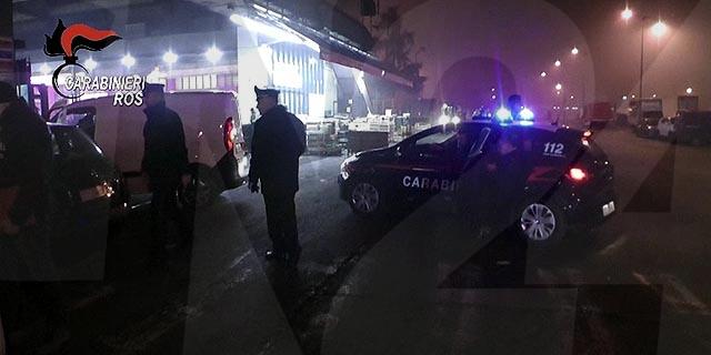 'Ndrangheta, colpito clan dei Piromalli di Gioia Tauro: 33 fermi 'Ndrangheta, colpito clan dei Piromalli di Gioia Tauro: 33 fermi