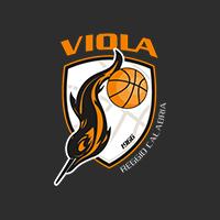 logoviolareggiocalabria-200.jpg