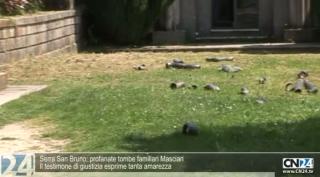 Serra San Bruno: profanate tombe familiari Masciari