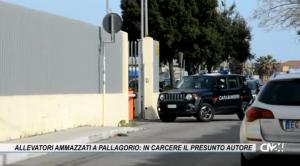 Allevatori ammazzati a Pallagorio, svolta nelle indagini: in carcere il presunto autore