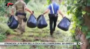 Stroncata la filiera della coca e della marijuana, sei arresti nel reggino