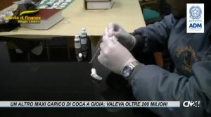 Un altro maxi carico di coca bloccato nel porto di Gioia: valeva oltre 200 milioni